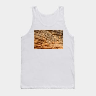 Lick Wash Trail Hike Tank Top